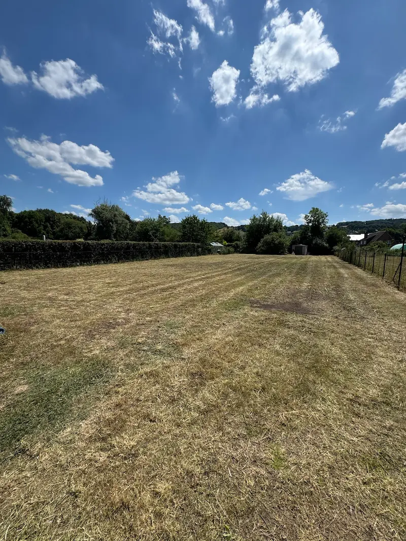 Débroussaillage de champ - Après