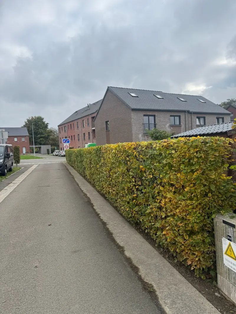 Taille de grande haie - Après