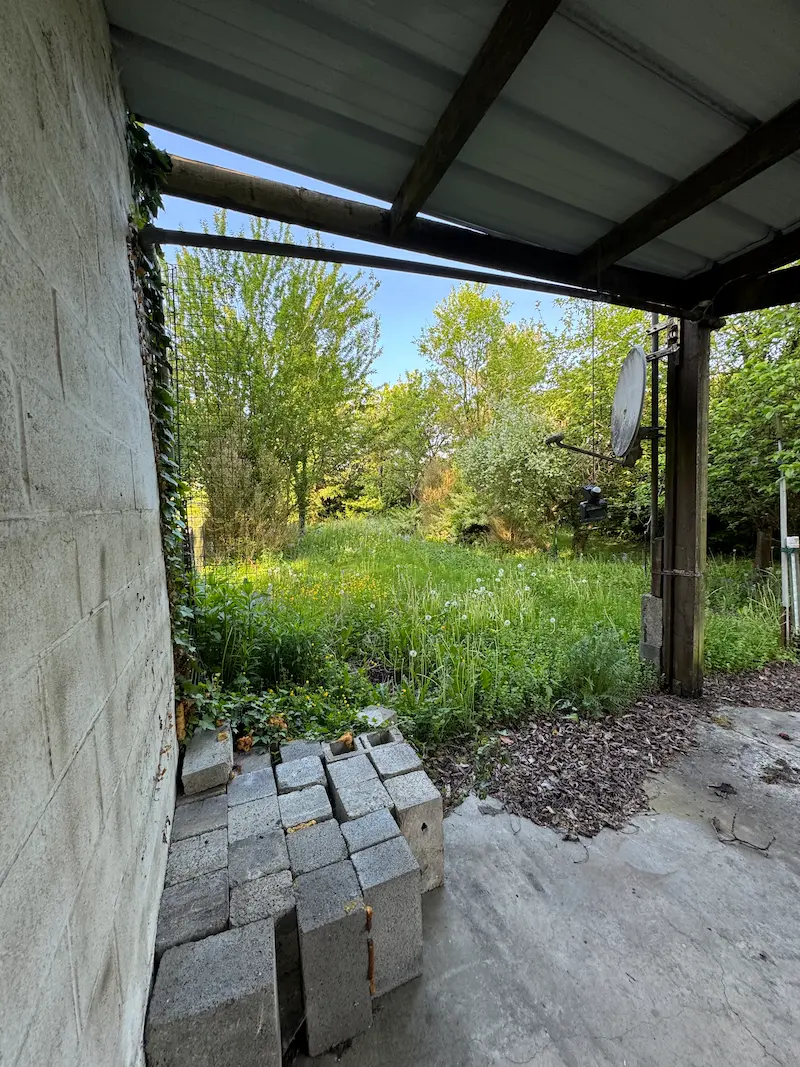 Remise en état d'un jardin - Avant