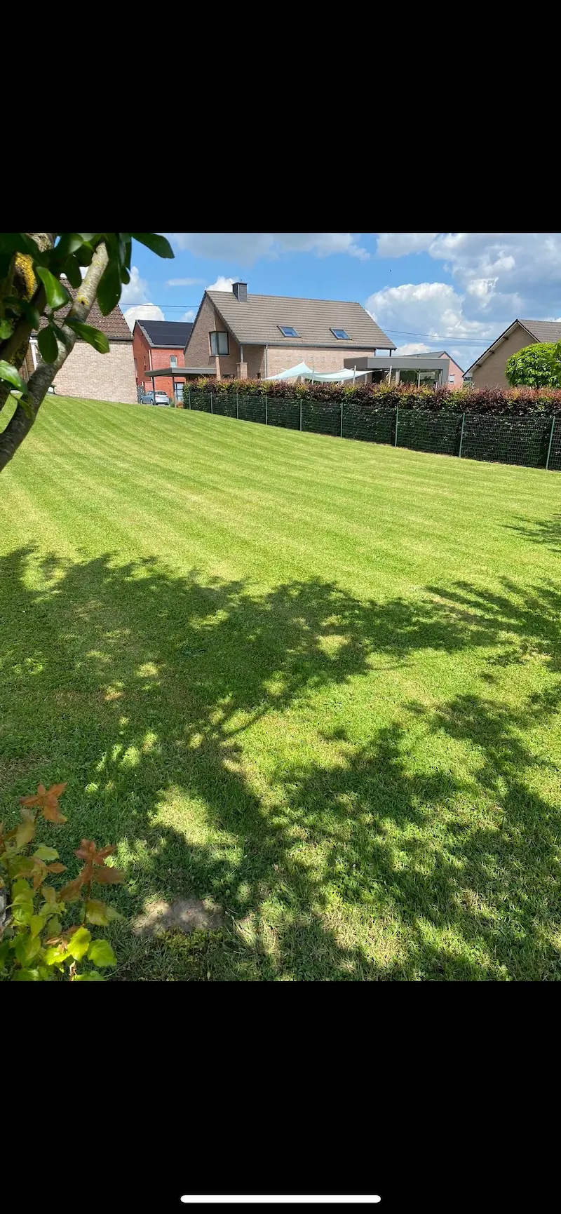 Semis de gazon à Huy