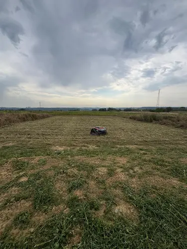 Débroussaillage d'une grande parcelle par robot télécommandé - Après