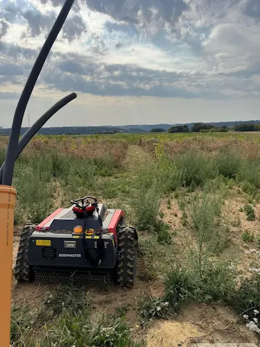 Débroussaillage d'une grande parcelle par robot télécommandé - Avant